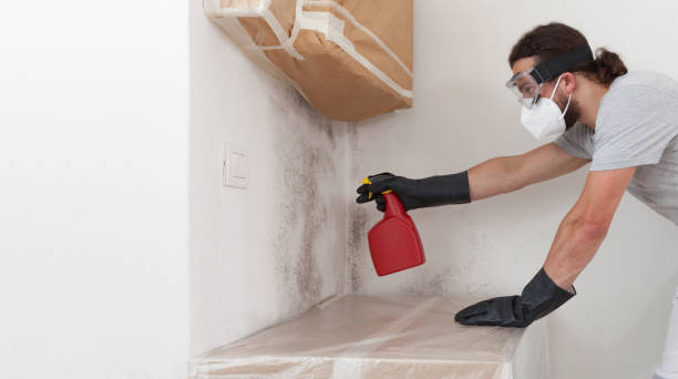 Professional Commercial Mold Remediation technician working in Brighton, MA