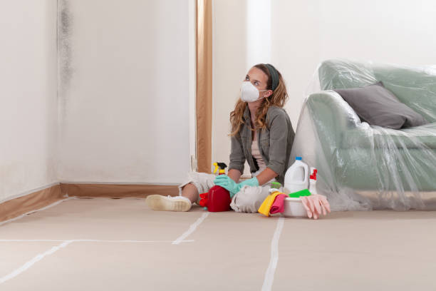 Reliable Commercial Mold Remediation contractor in Brighton, MA by WQB Mold Removal